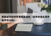 零基础学软件开发有前途吗（软件开发从零开始学可以吗）