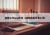 湖南公司app开发（湖南网站开发公司）