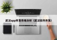 武汉app开发市场分析（武汉软件开发）