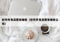 软件开发资质有哪些（软件开发资质有哪些公司）