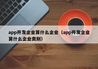 app开发企业算什么企业（app开发企业算什么企业类别）