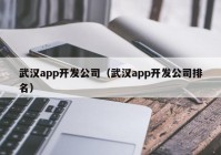 武汉app开发公司（武汉app开发公司排名）