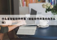 什么是智能软件开发（智能软件开发方向怎么样）