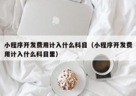 小程序开发费用计入什么科目（小程序开发费用计入什么科目里）