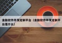 金融软件开发定制平台（金融软件开发定制平台是什么）