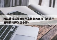 网站建设以及app开发行业怎么样（网站开发和软件开发哪个好）