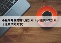 小程序开发定制北京公司（小程序开发公司一丨北京华网天下）