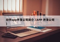 软件app开发公司简介（APP 开发公司）