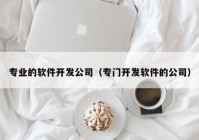 专业的软件开发公司（专门开发软件的公司）