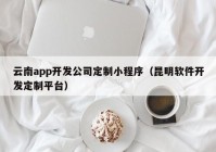 云南app开发公司定制小程序（昆明软件开发定制平台）